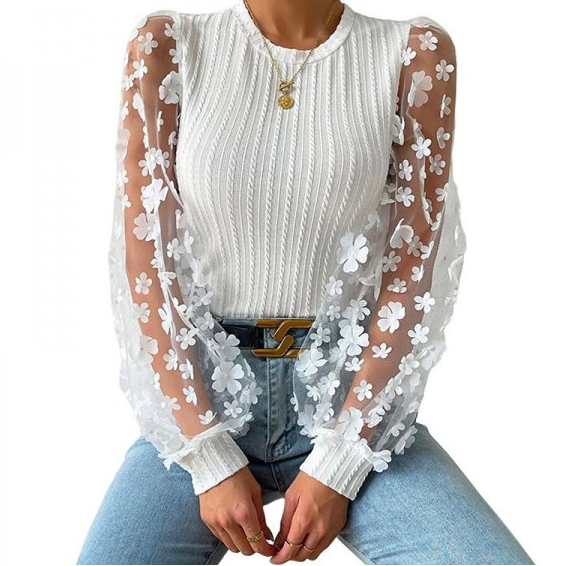 Women's Mesh Small Flower Chiffon Shirt Summer Round Neck Long Sleeve Top